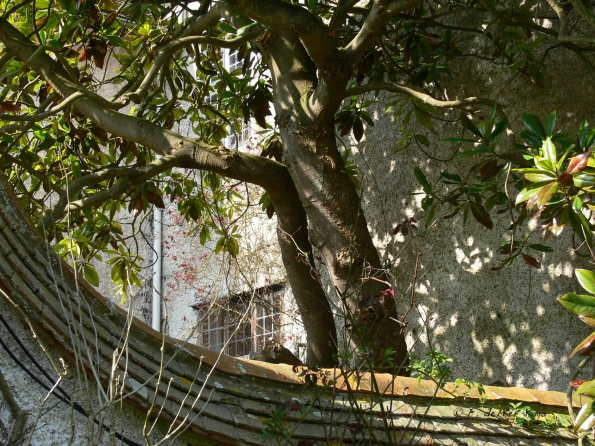 Bois des Moutiers (106) mars 2012